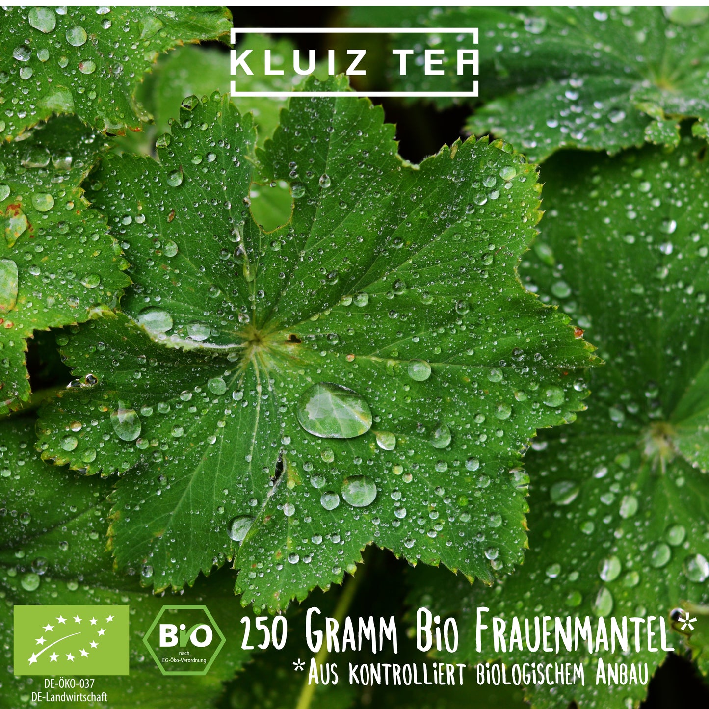 Frauenmanteltee Bio 250g