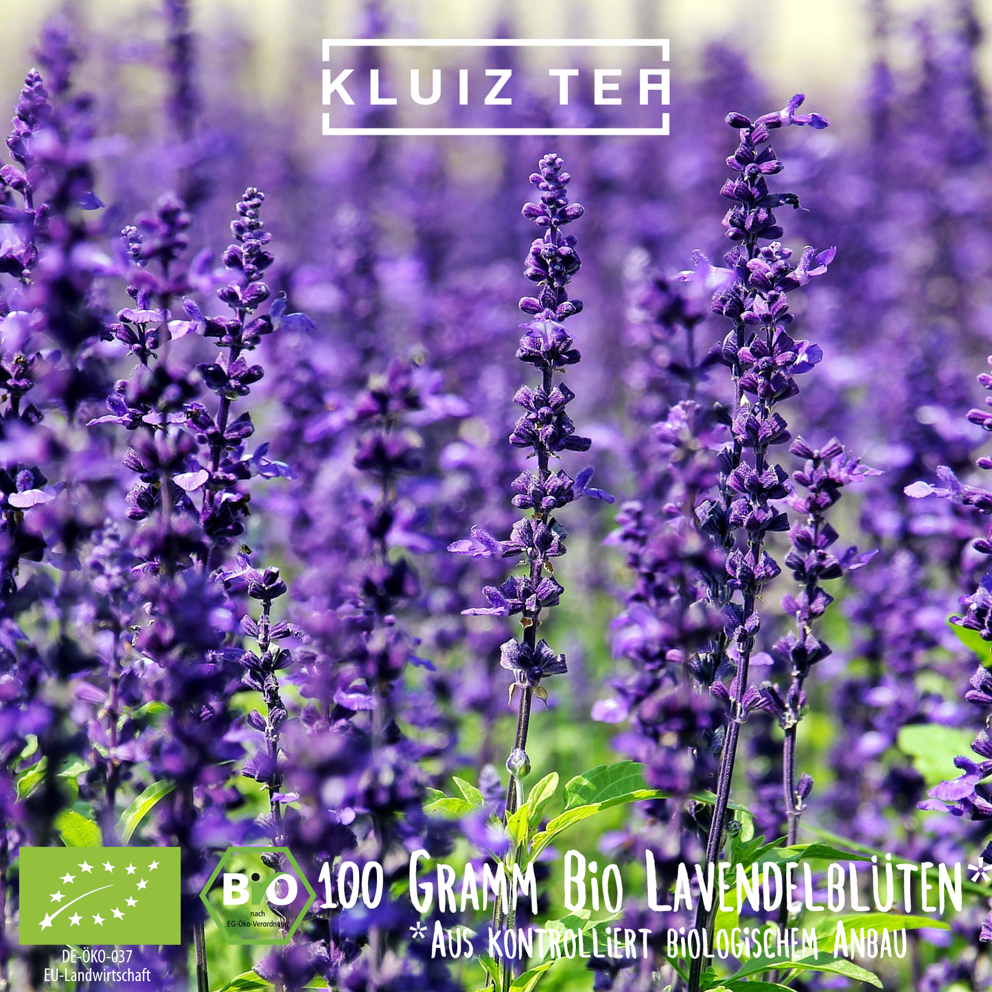 Lavendelblütentee Bio